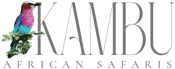 Kambu